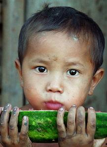 娱乐吃瓜小男孩是谁